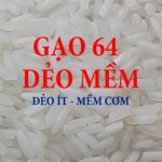GẠO 64 DẺO MỀM - LÚA 3 THÁNG