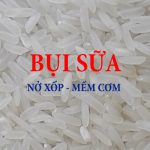 GẠO BỤI SỮA NỞ MỀM - LÚA 3 THÁNG