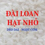 GẠO ĐÀI LOAN HẠT NHỎ - DẺO DAI