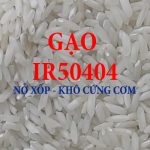 gạo để sản xuất bánh, làm bún