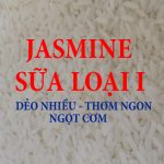 GAO JASMINE SỮA THƠM - LOAI I