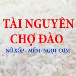 GẠO TÀI NGUYÊN CHỢ ĐÀO