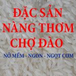 Gạo Thơm Chợ đào - lúa 6 tháng