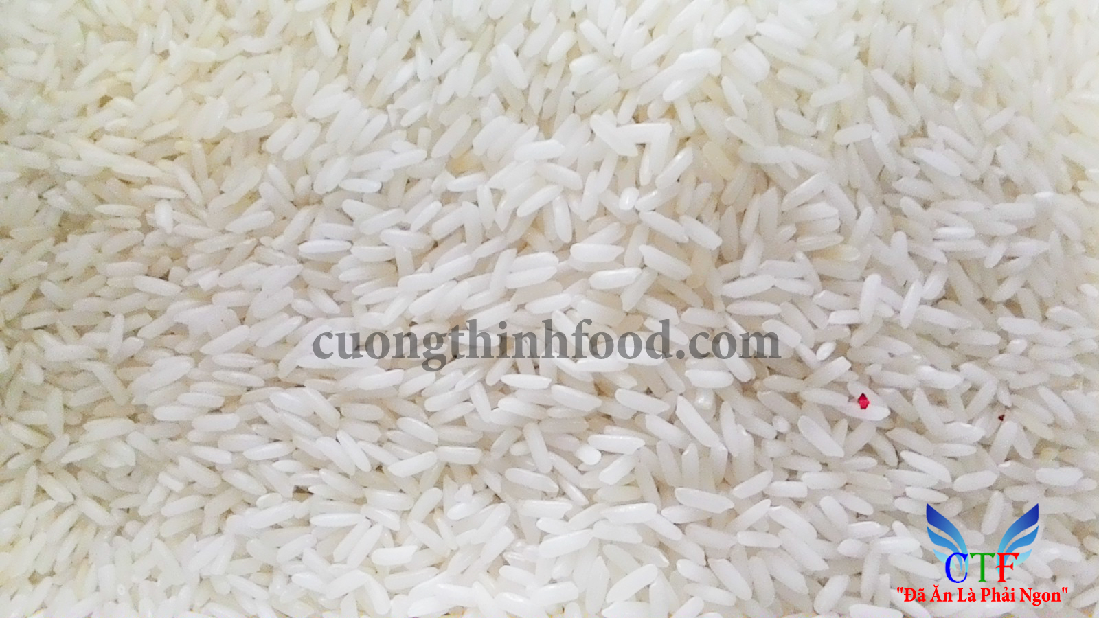 Gạo Hương Lài Sữa có màu sắc và hình dáng đồng nhất