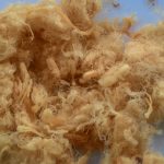 CHÀ BÔNG GÀ XÙ NGỌT CHO BÉ YÊU